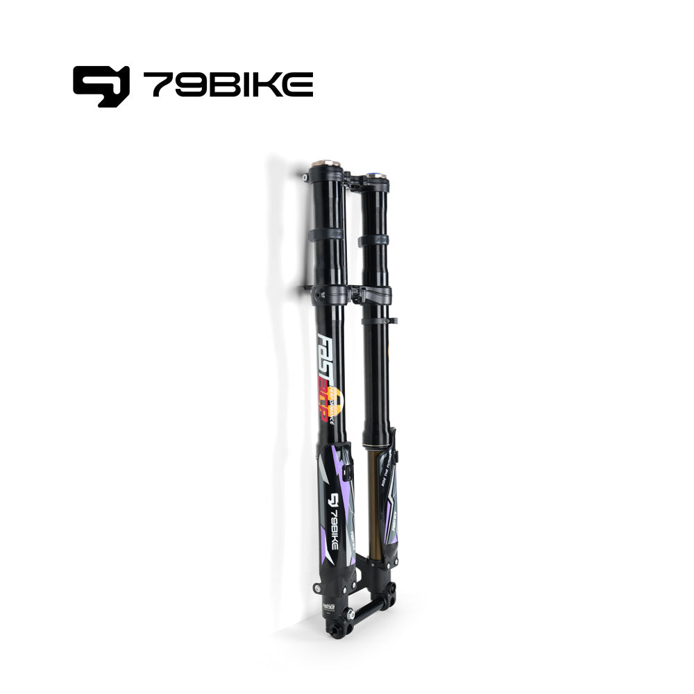79Bike Falcon Pro FastAce ALX33RC 2.0 Gabel (zum Austausch)