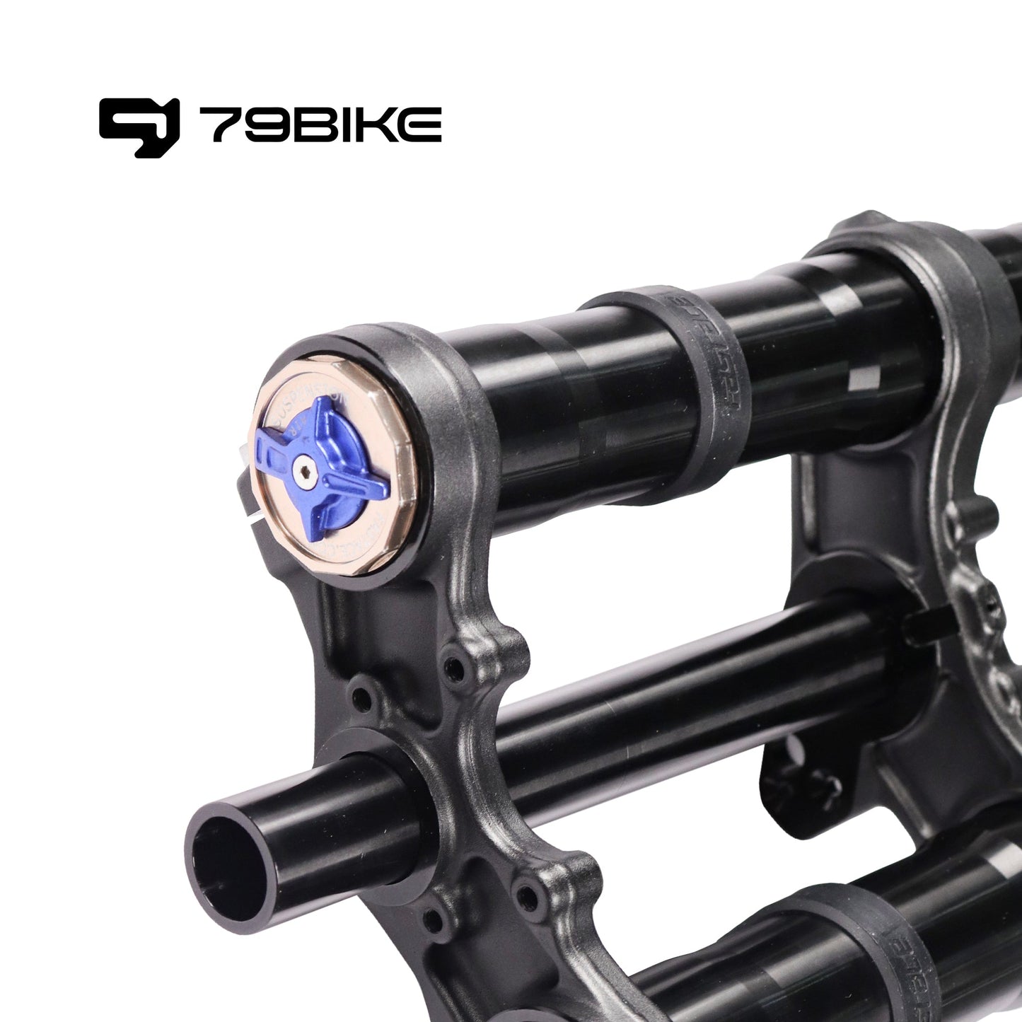 79Bike Falcon Pro FastAce ALX33RC 2.0 Gabel (zum Austausch)