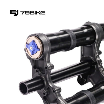 79Bike Falcon Pro FastAce ALX33RC 2.0 Gabel (zum Austausch)