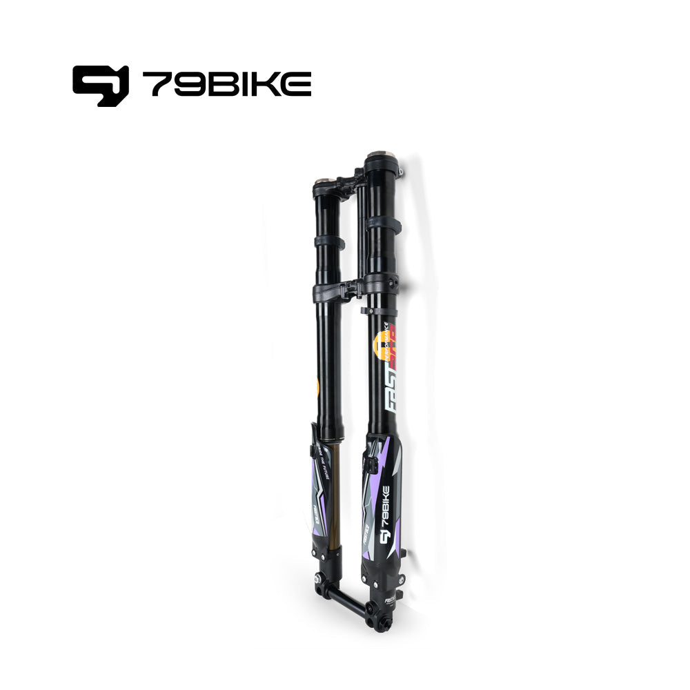 79Bike Falcon Pro FastAce ALX33RC 2.0 Gabel (zum Austausch)