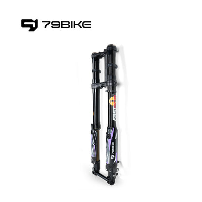 79Bike Falcon Pro FastAce ALX33RC 2.0 Gabel (zum Austausch)