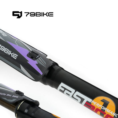 79Bike Falcon Pro FastAce ALX33RC 2.0 Gabel (zum Austausch)