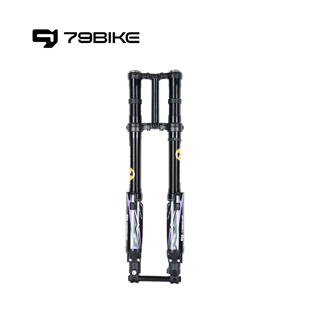 79Bike Falcon Pro FastAce ALX33RC 2.0 Gabel (zum Austausch)