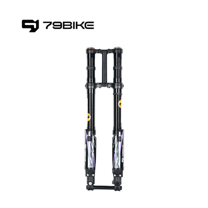 79Bike Falcon Pro FastAce ALX33RC 2.0 Gabel (zum Austausch)