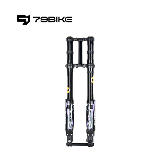 79Bike Falcon Pro FastAce ALX33RC 2.0 Gabel (zum Austausch)