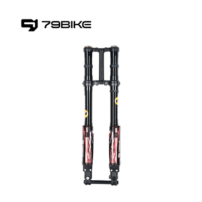 79Bike Falcon Pro FastAce ALX33RC 2.0 Gabel (zum Austausch)