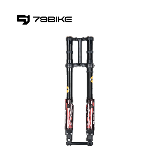 79Bike Falcon Pro FastAce ALX33RC 2.0 Gabel (zum Austausch)