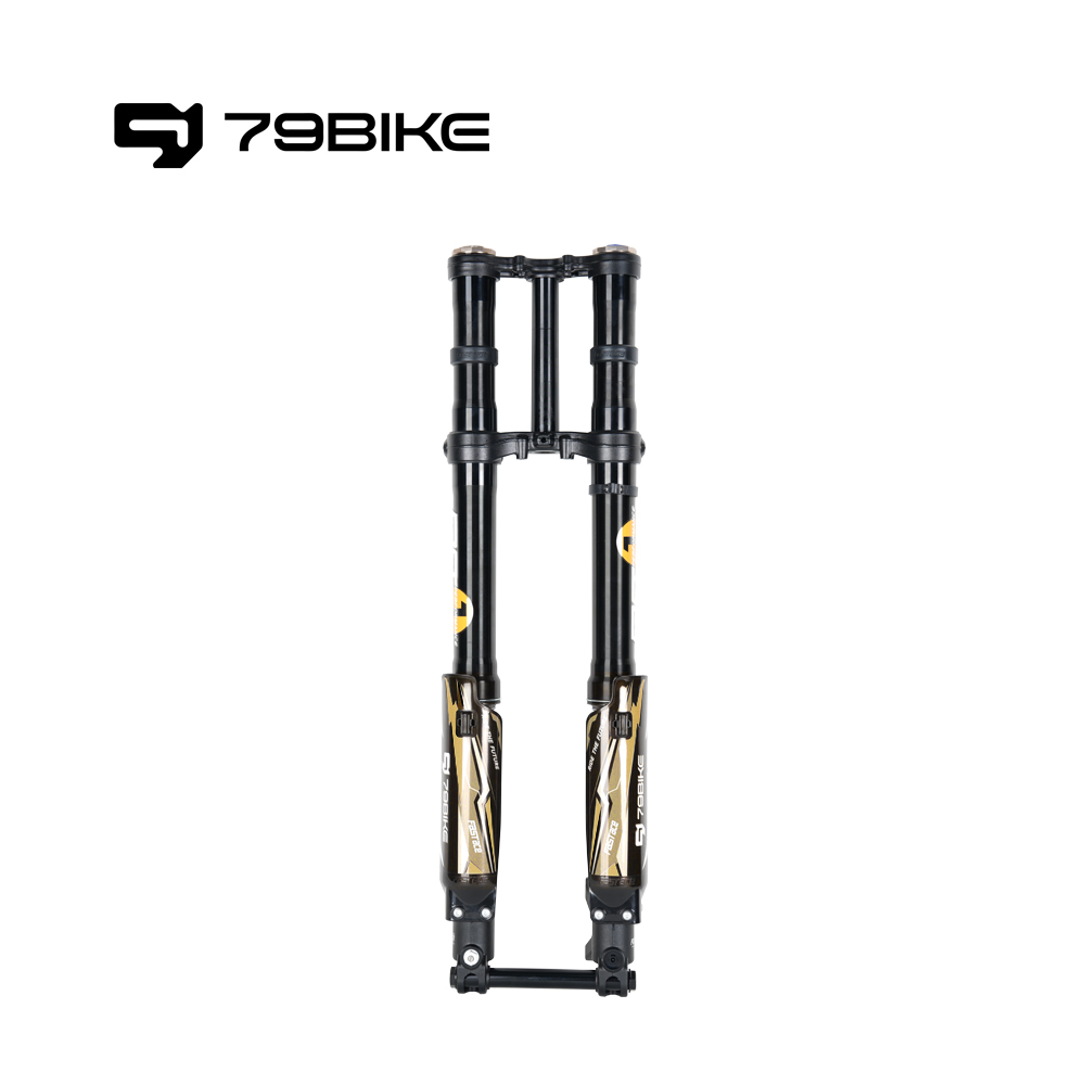 79Bike Falcon Pro FastAce ALX33RC 2.0 Gabel (zum Austausch)